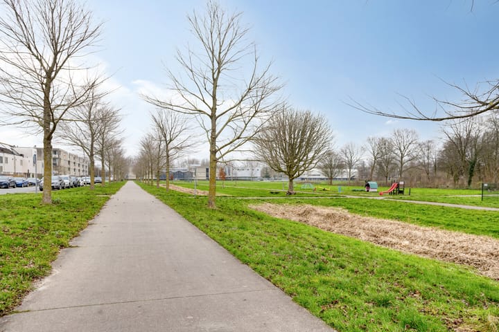 Photo 31 of M.J. Granpré Molièrestraat 58