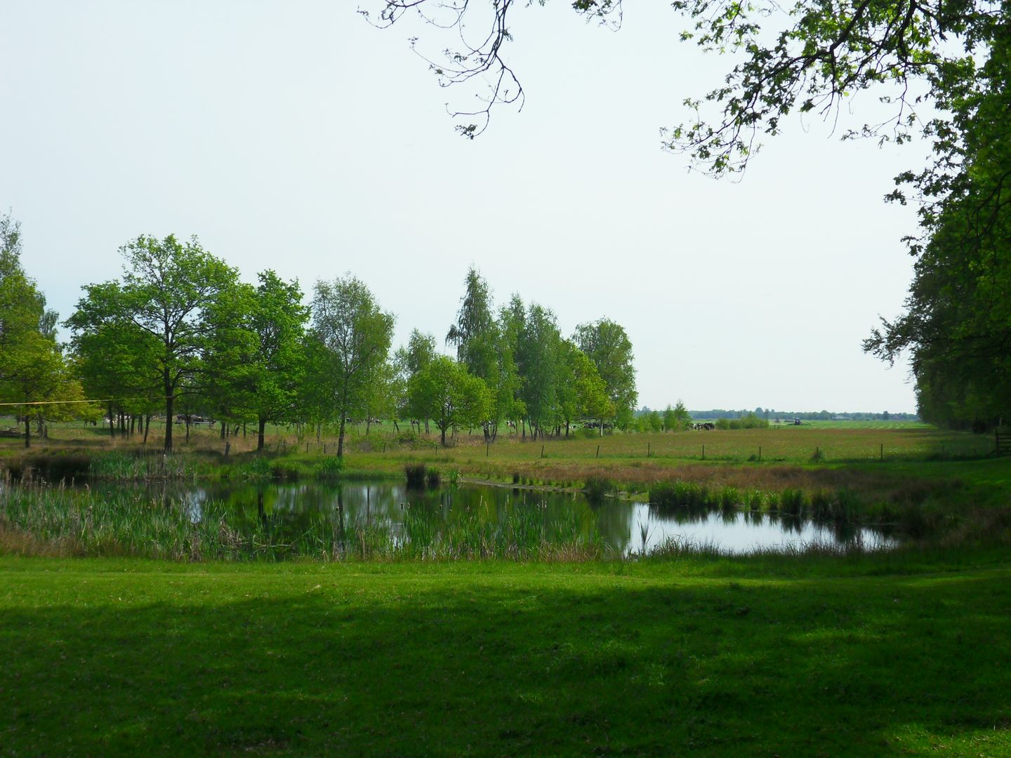 Foto 4 van Schoterlandseweg 40