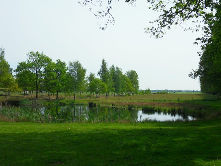 Foto 4 van Schoterlandseweg 40