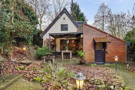 undefined main image