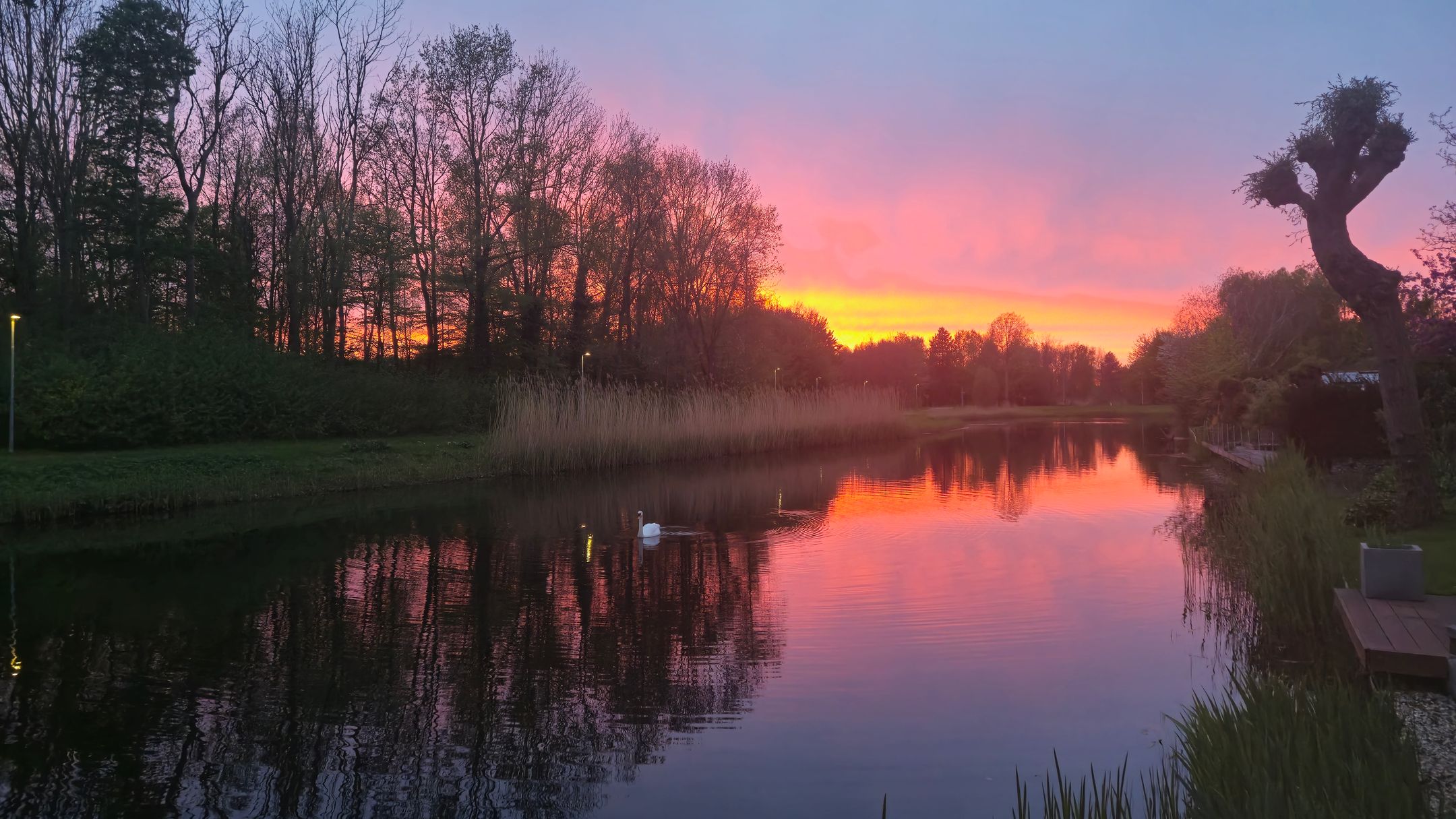 Photo 51 of Golfpark 46