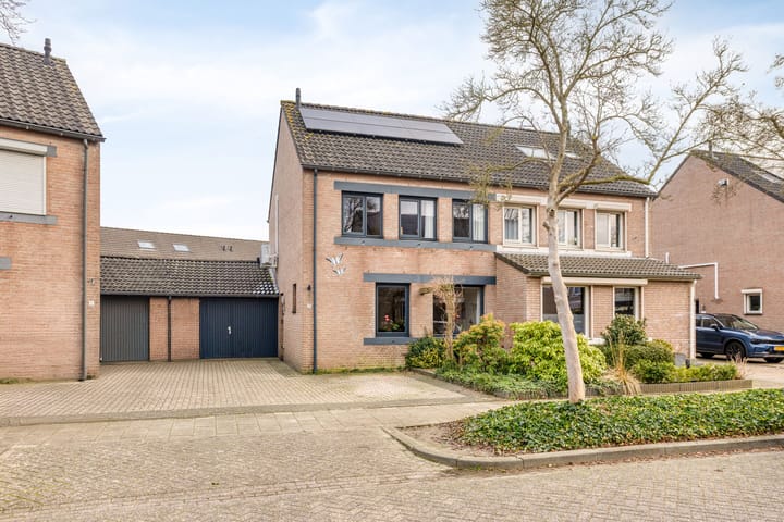 Pauwoog 7 main image