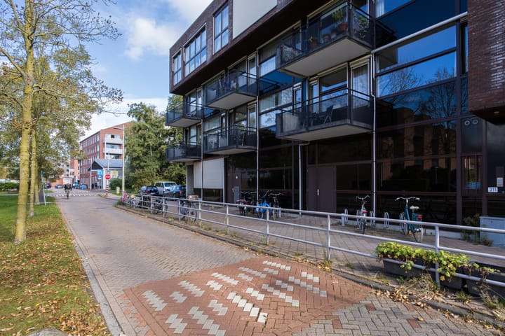 Foto 5 van Houtrakgracht 221