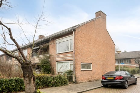 undefined main image