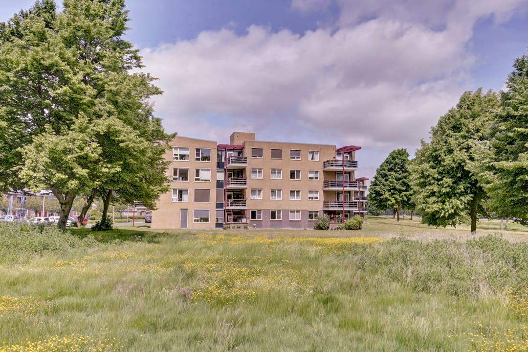 Foto 1 van Het Spectrum 12