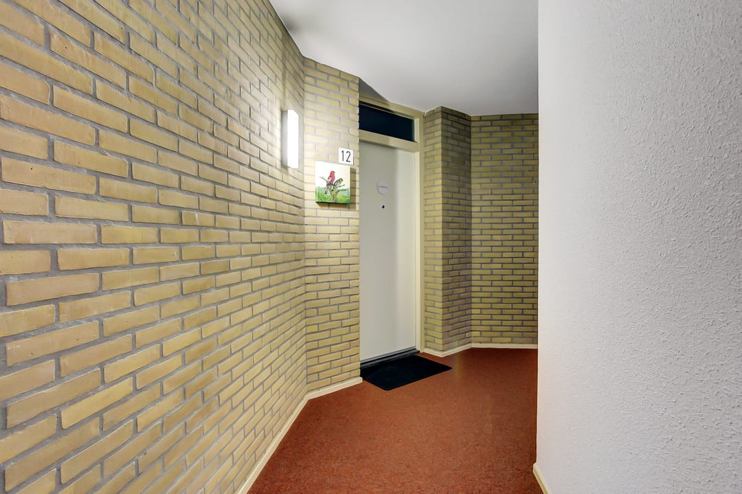 Foto 8 van Het Spectrum 12