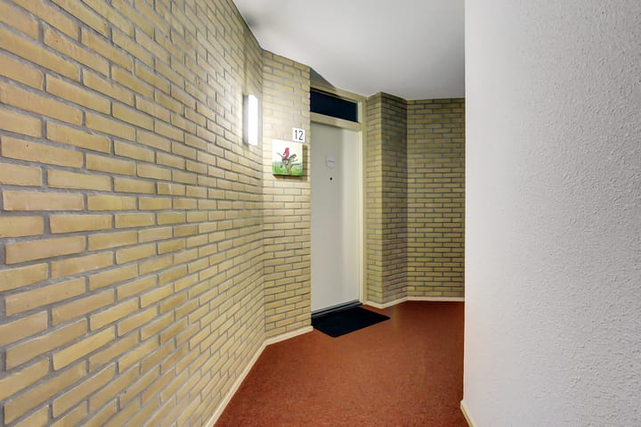 Foto 8 van Het Spectrum 12