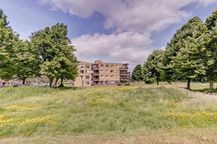 Foto 29 van Het Spectrum 12