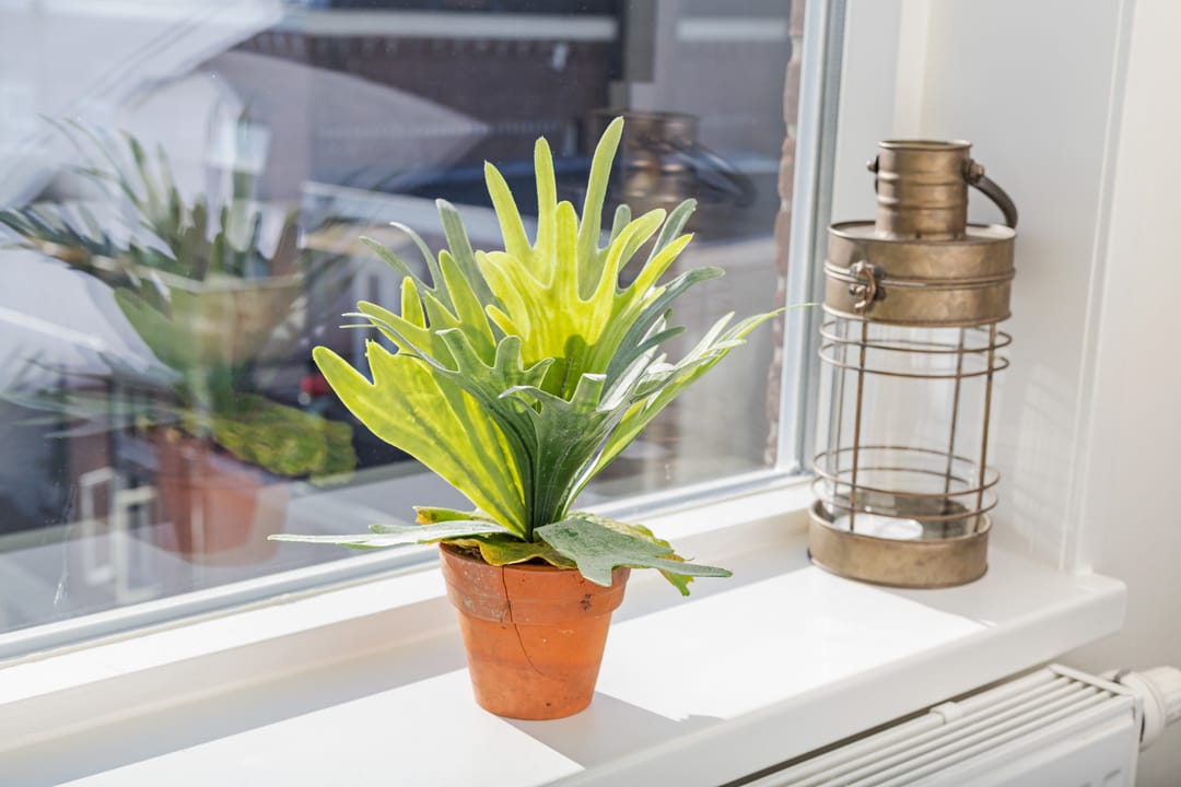 Foto 16 van Catharijnesingel 66-H