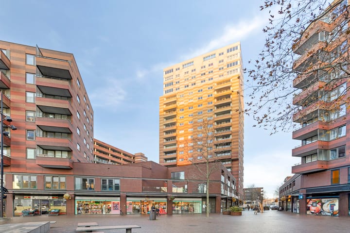 Foto 36 van IJdoornlaan 261-P4