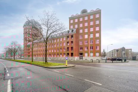 undefined main image