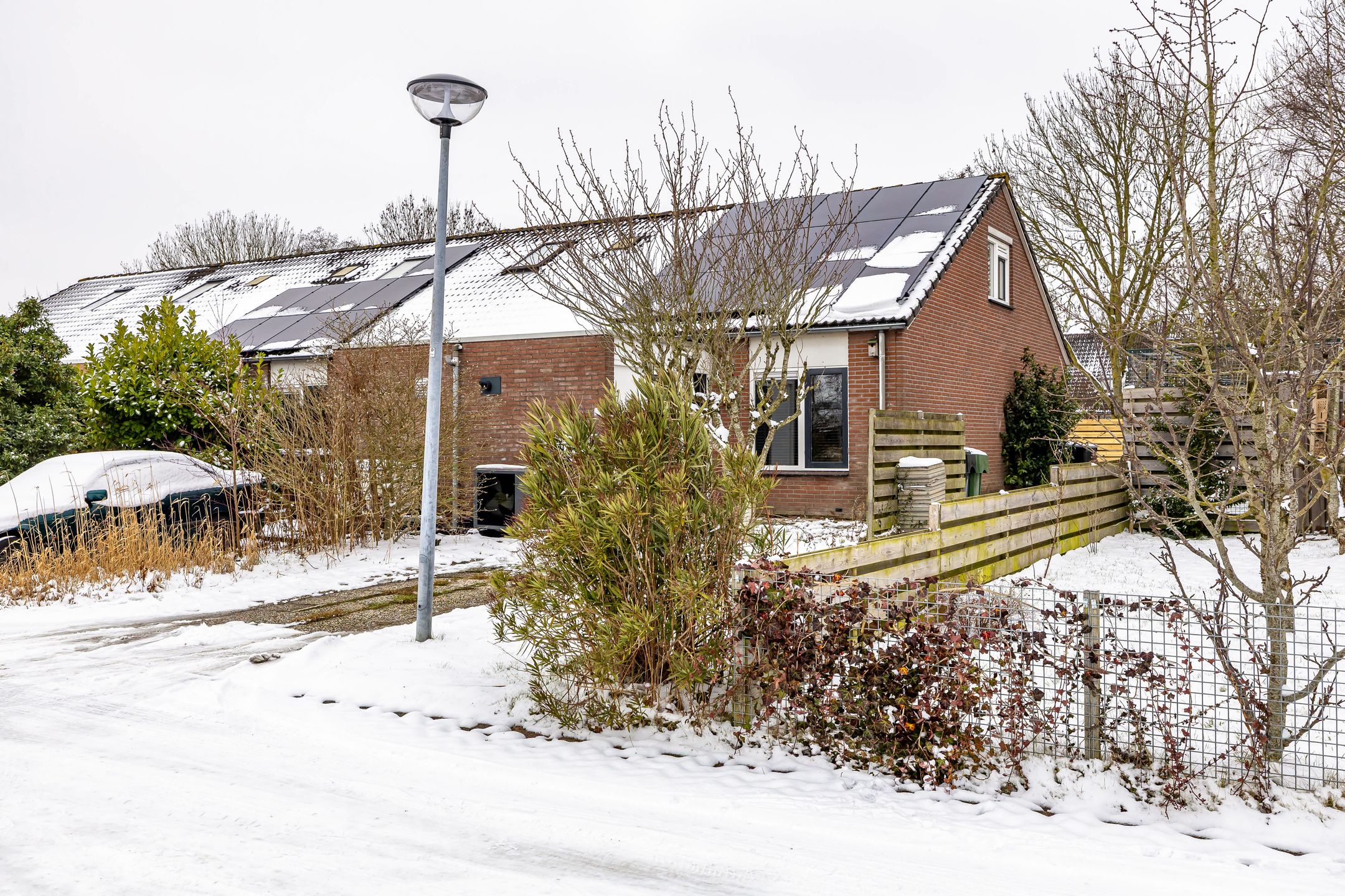 Foto 3 van Duivenslag 27