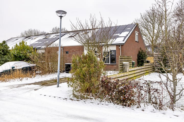 Photo 3 of Duivenslag 27