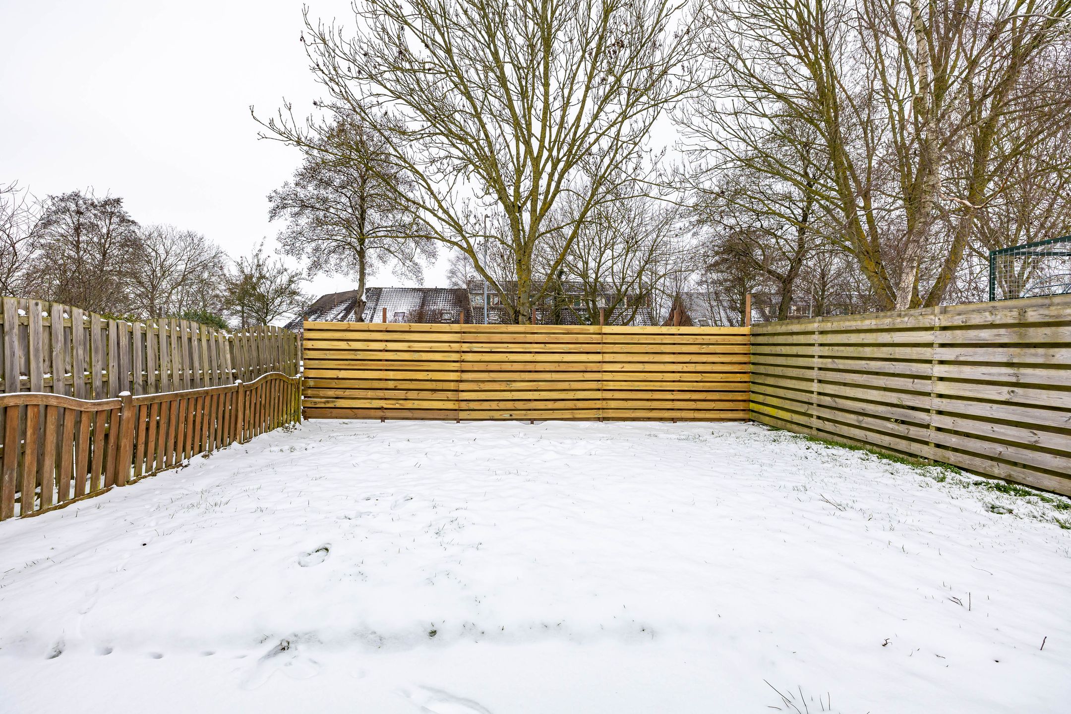 Foto 39 van Duivenslag 27