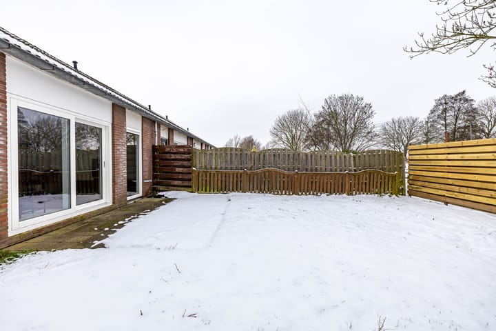 Photo 40 of Duivenslag 27