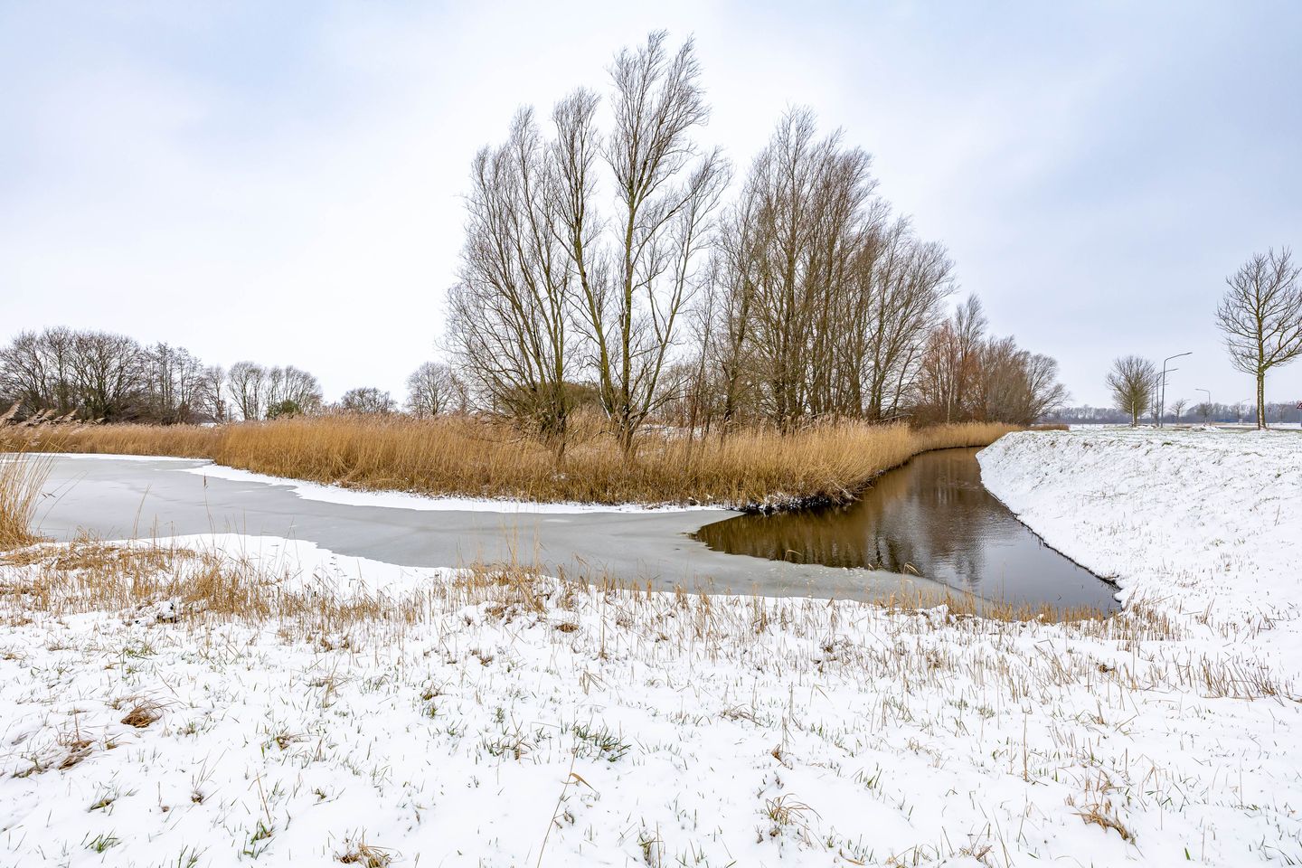 Foto 44 van Duivenslag 27