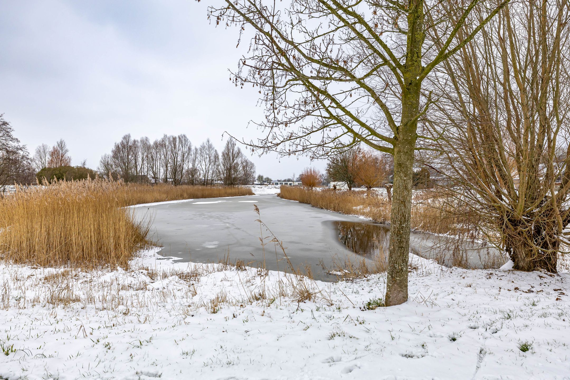 Foto 45 van Duivenslag 27