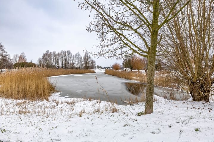 Photo 45 of Duivenslag 27