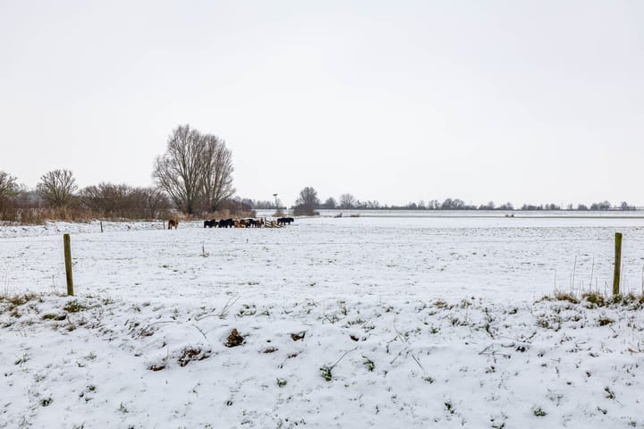 Photo 46 of Duivenslag 27