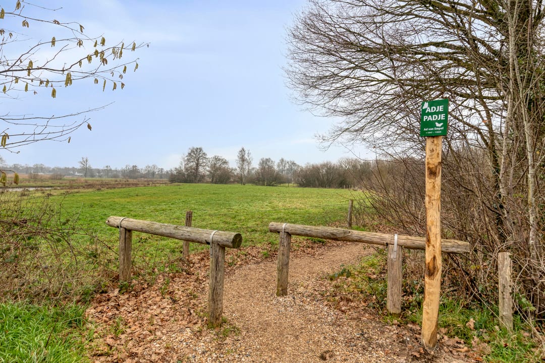 Photo 43 of Assendelftseweg 2