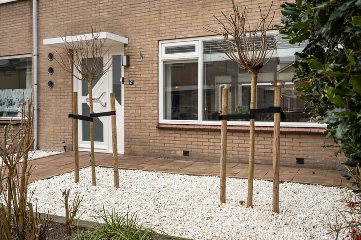 Photo 7 of De Plevier 2-A