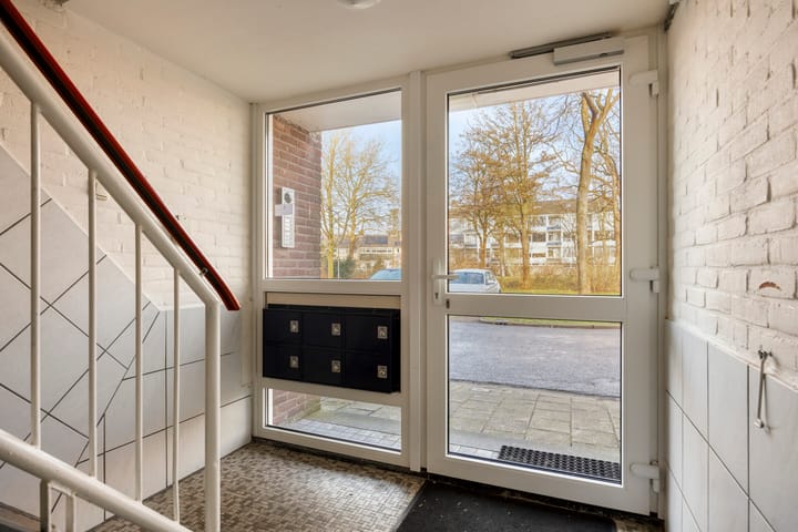 Foto 3 van Vogelplantsoen 157