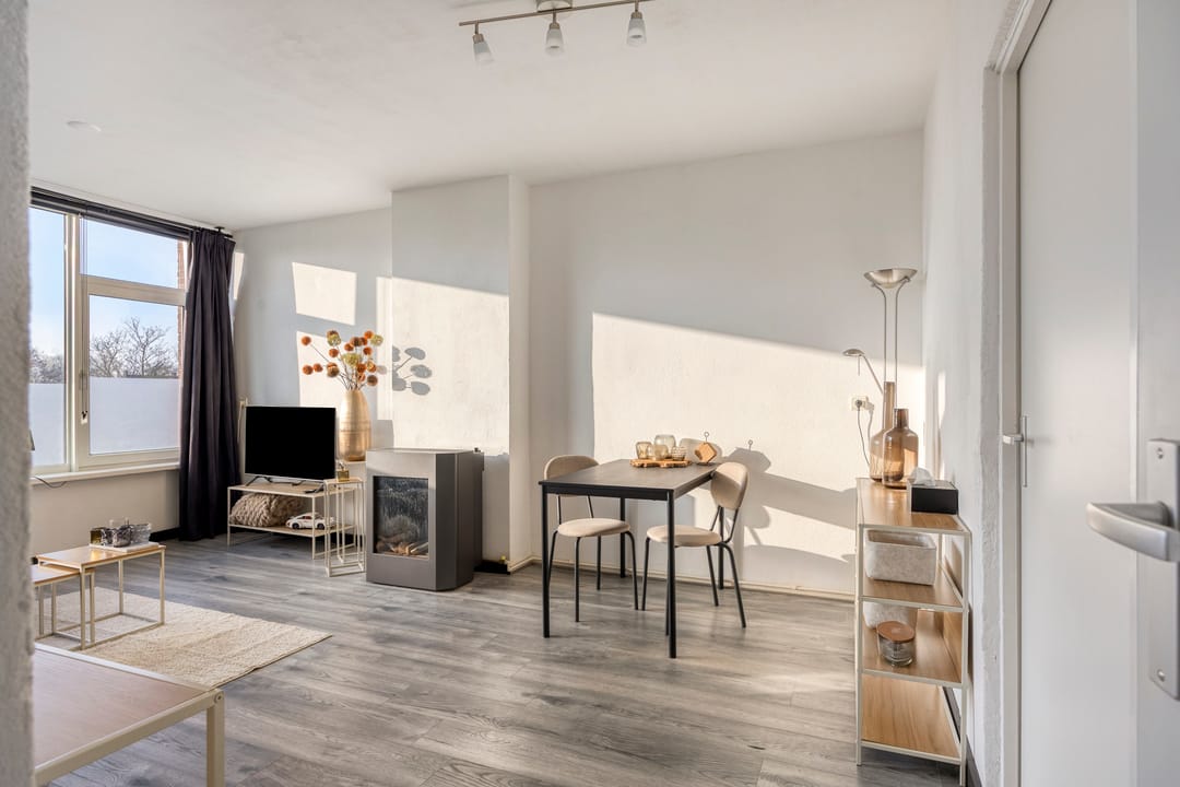 Foto 7 van Vogelplantsoen 157