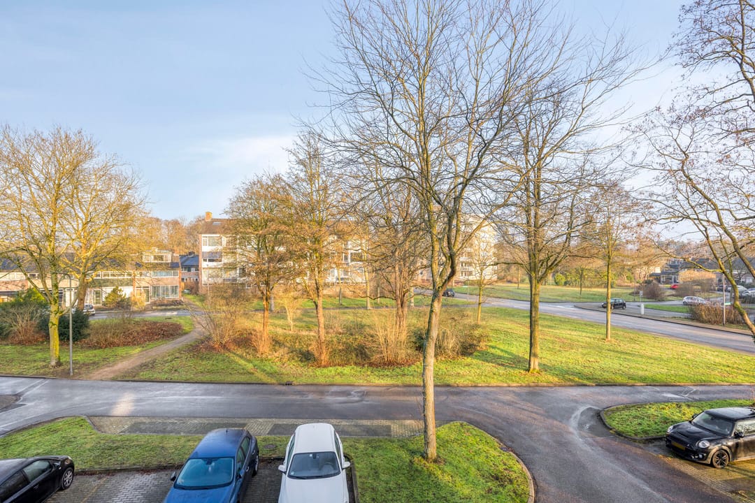 Foto 16 van Vogelplantsoen 157