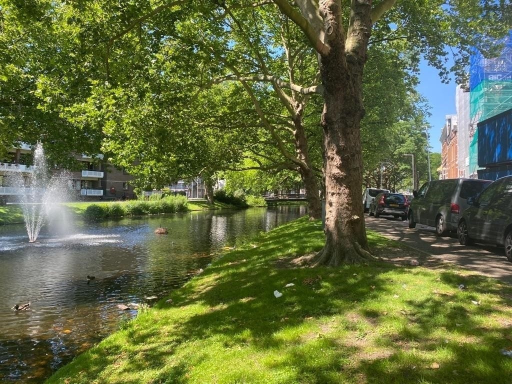 Foto 20 van Crooswijksesingel 18-C