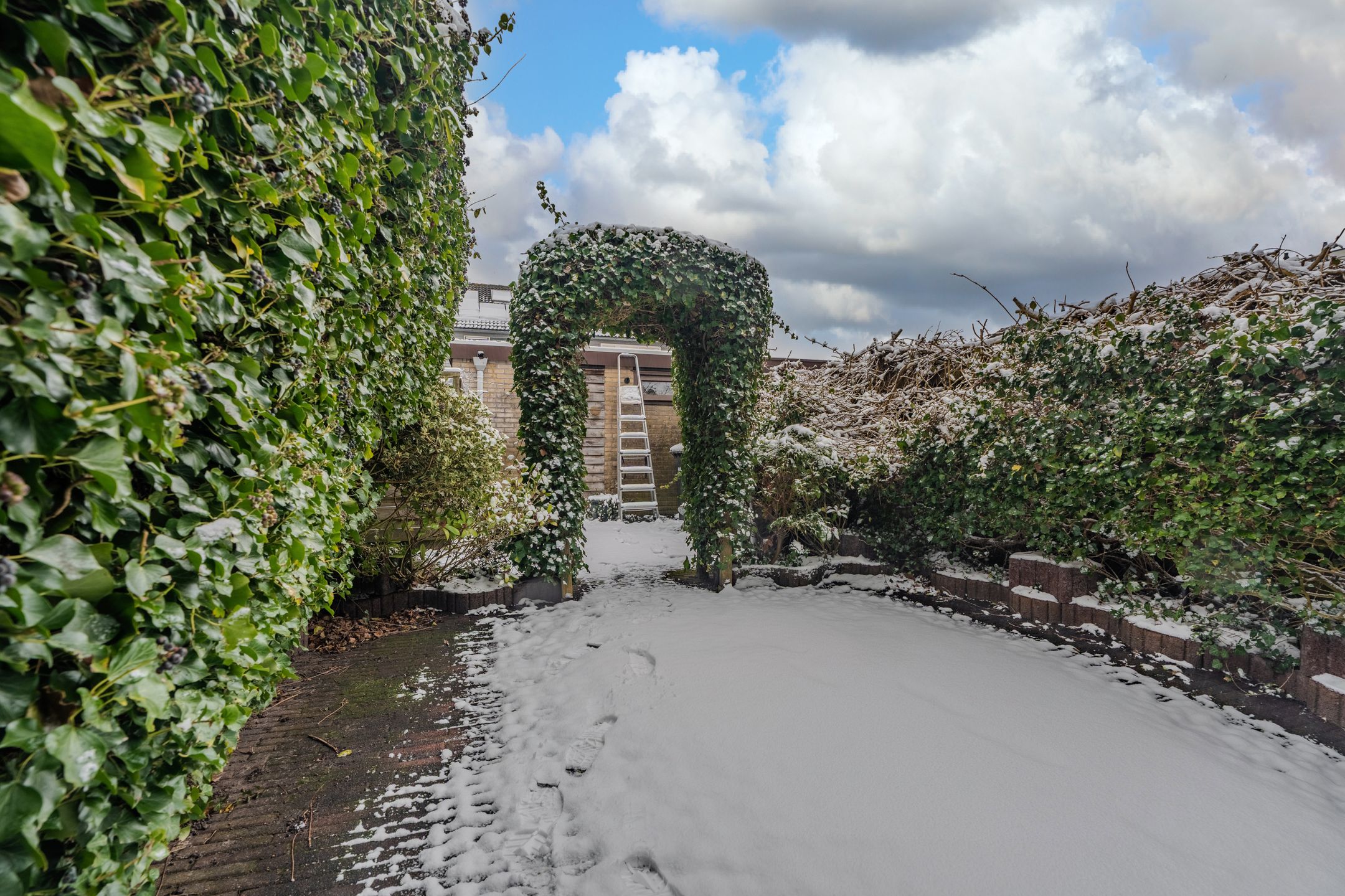 Photo 45 of van Limburg Stirumlaan 61