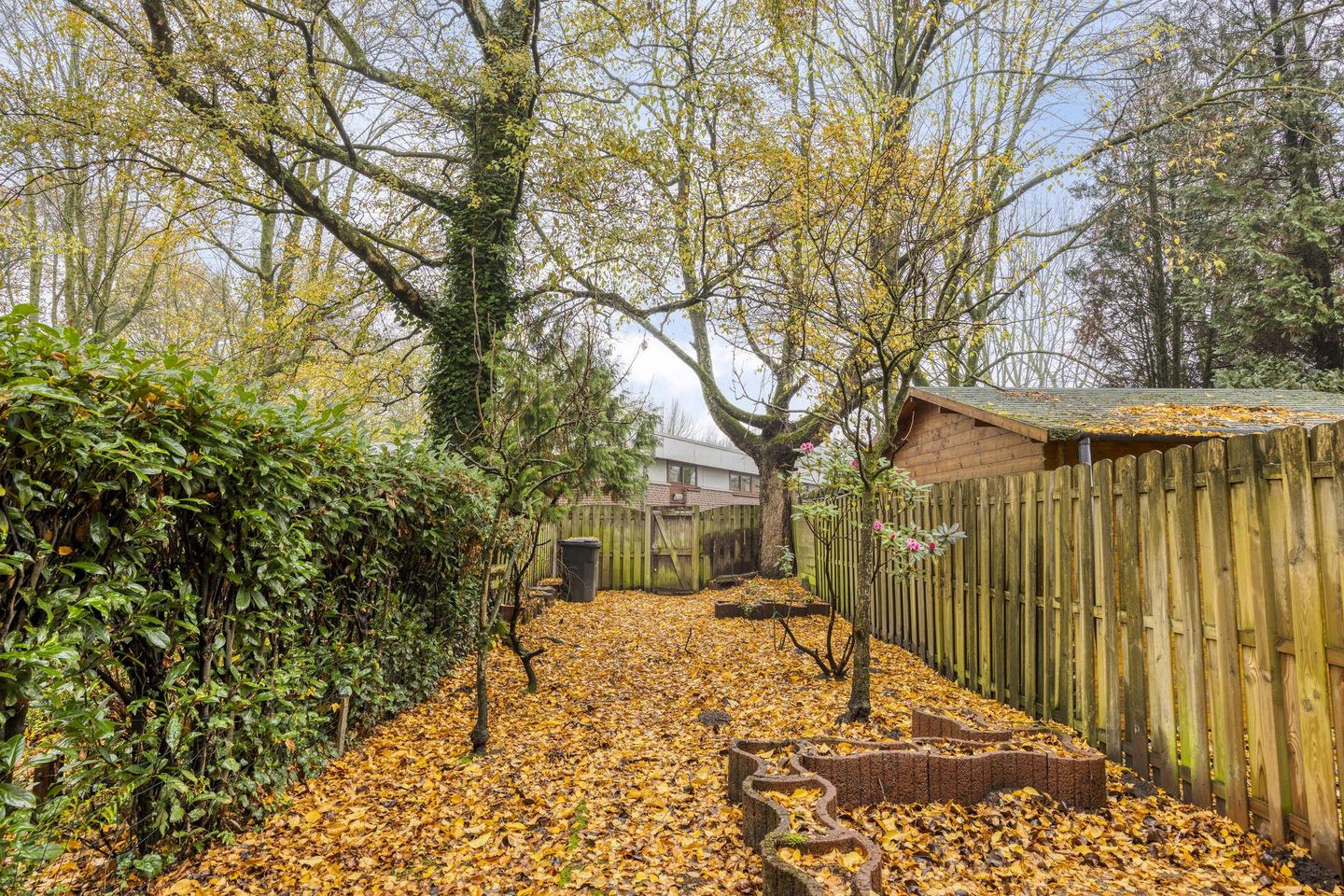 Foto 25 van Cannabichstraat 46