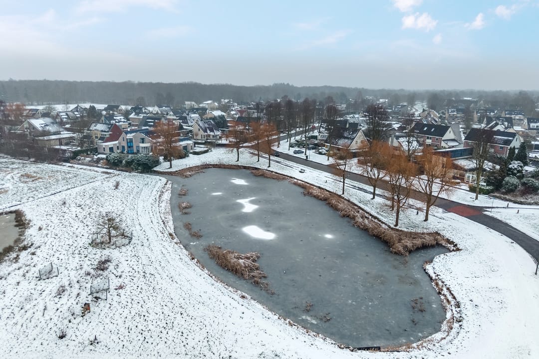 Foto 23 van Dingspil 14