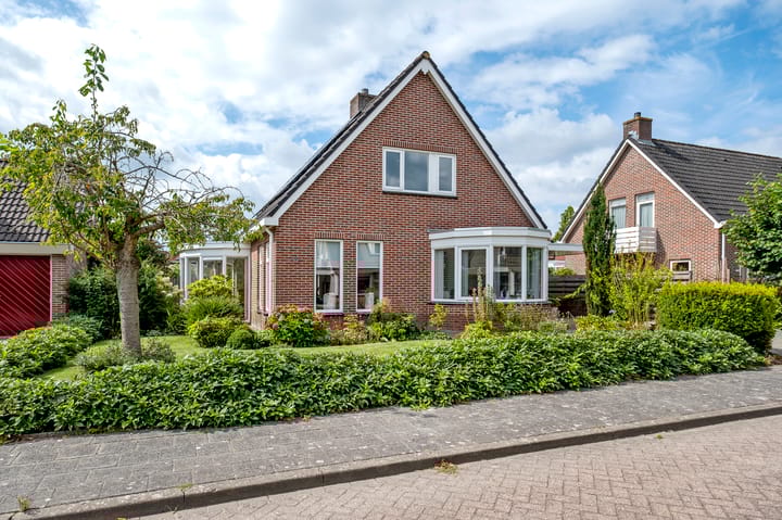 Lisdodde 80 main image