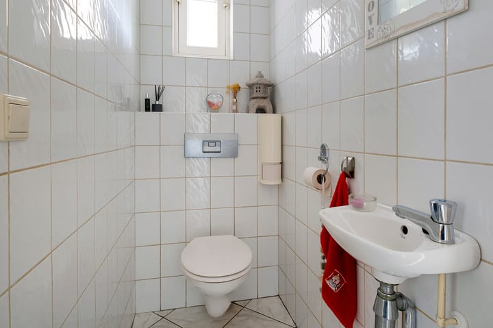 Foto 6 van Lisdodde 80