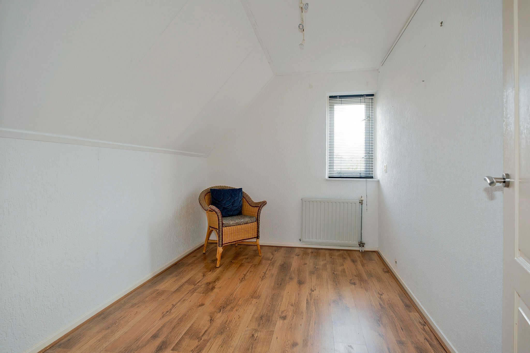 Foto 18 van Lisdodde 80