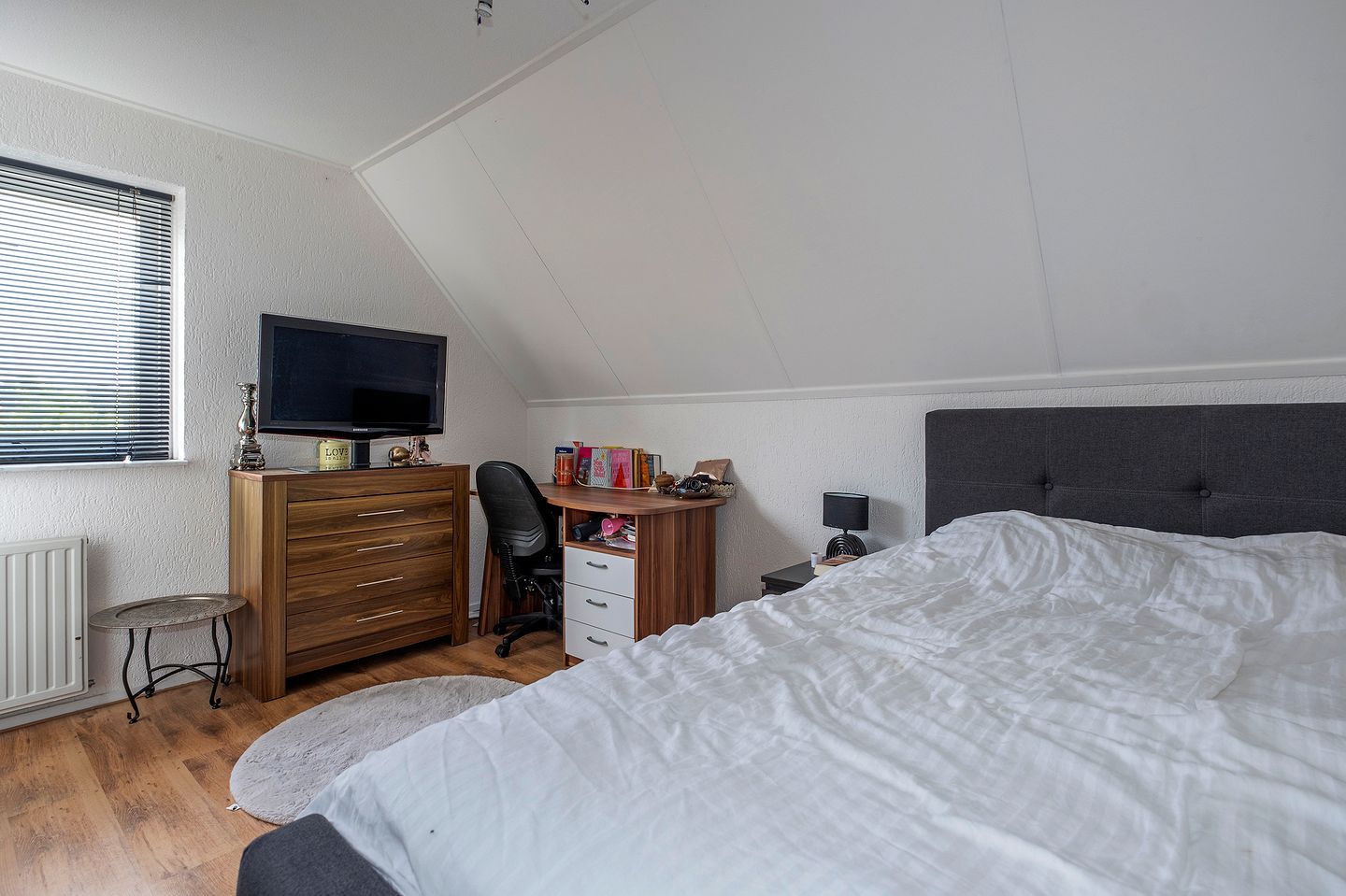 Foto 19 van Lisdodde 80