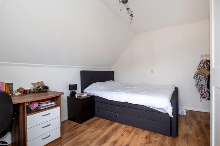 Foto 20 van Lisdodde 80