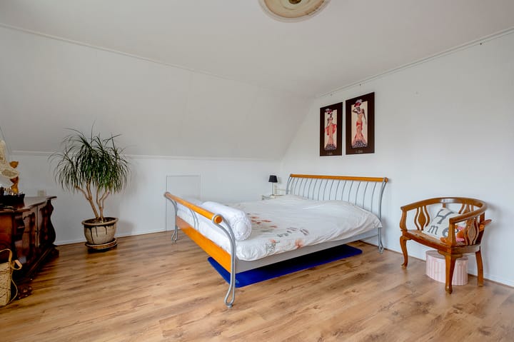 Foto 23 van Lisdodde 80