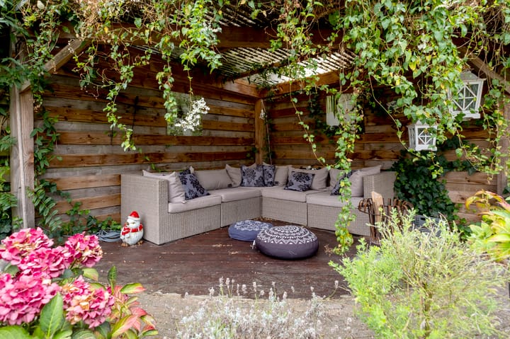 Foto 29 van Lisdodde 80