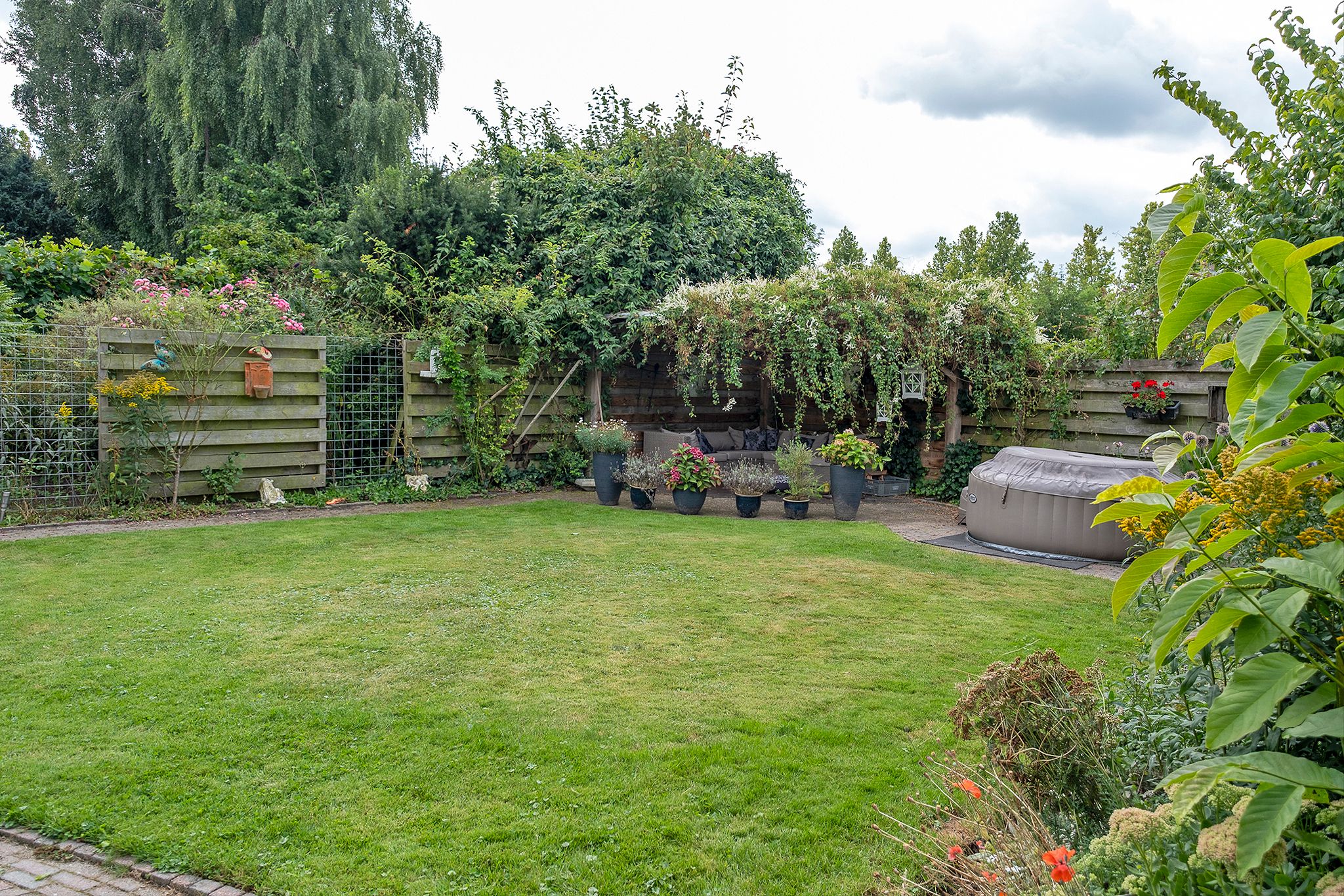 Foto 30 van Lisdodde 80