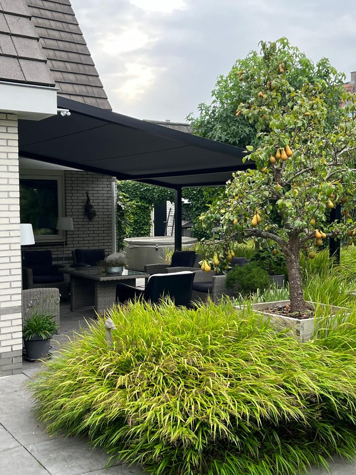 Photo 82 of Dingspil 14