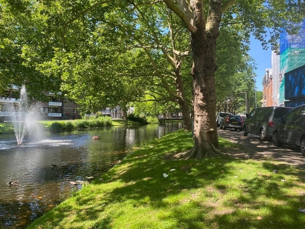 Foto 27 van Crooswijksesingel 18-B