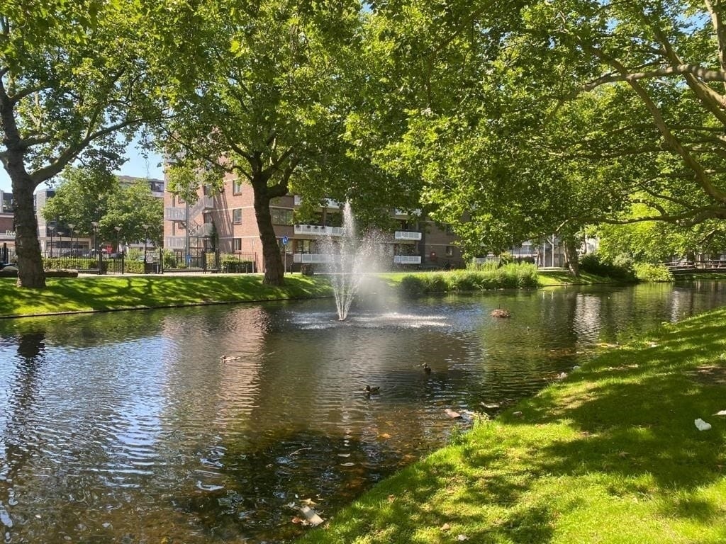 Foto 28 van Crooswijksesingel 18-B