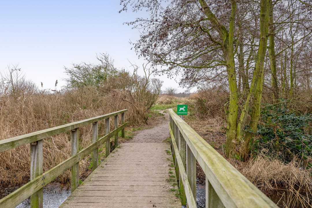 Foto 26 van Bremstraat 10