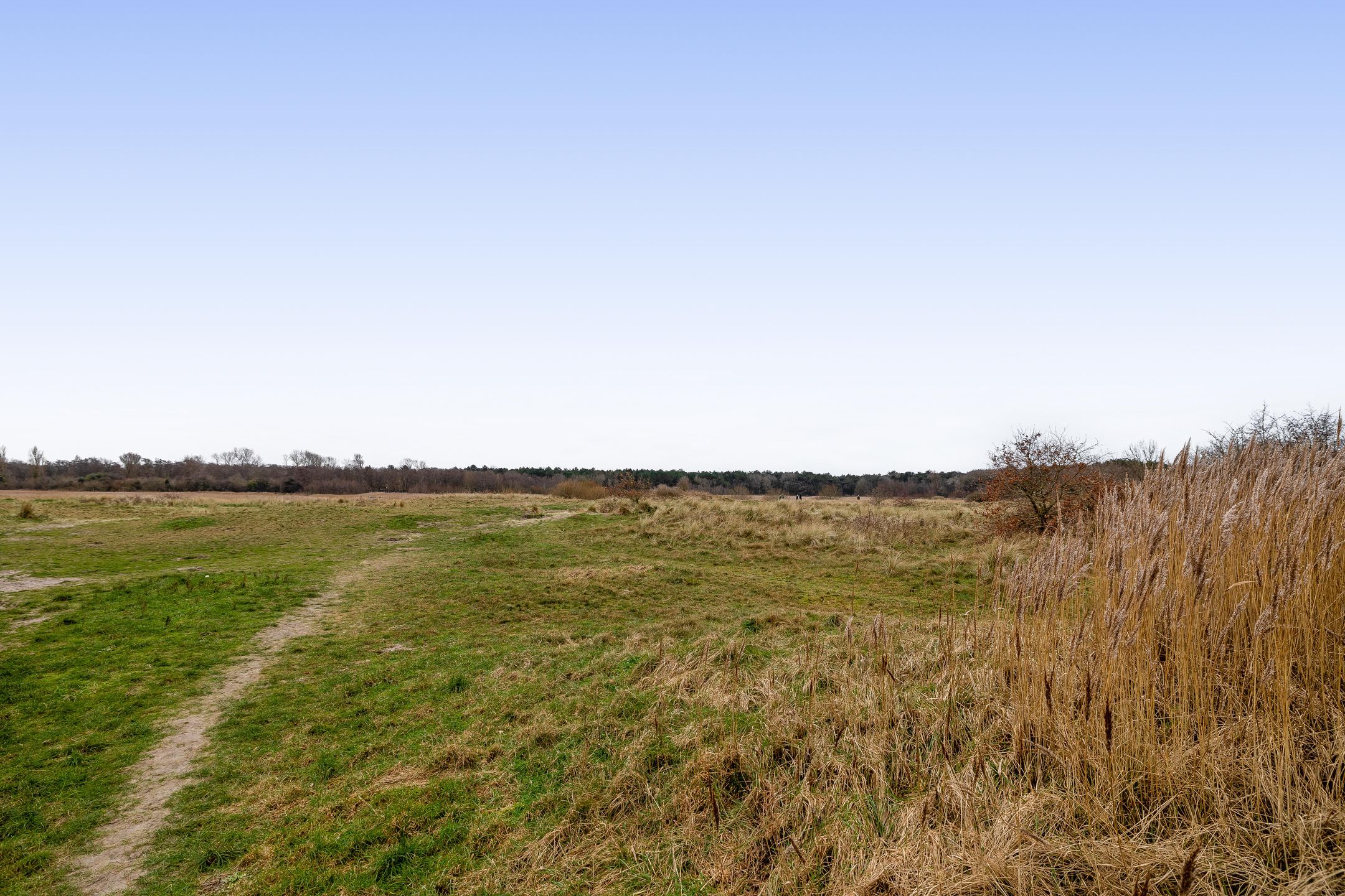 Foto 27 van Bremstraat 10