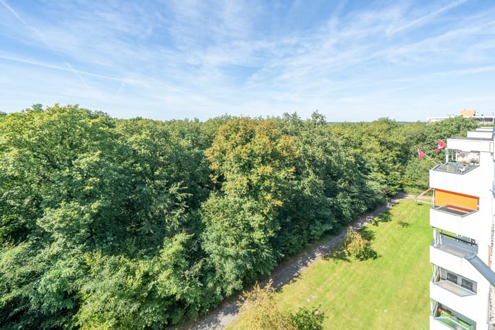 Photo 15 of Beethovenlaan 297