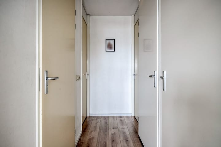 Photo 11 of Leembergerhout 11