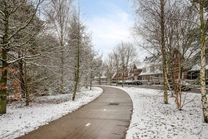 Photo 31 of Leembergerhout 11