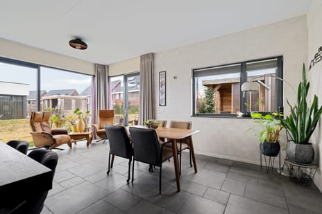 Teunisbloem 4 tertiary image