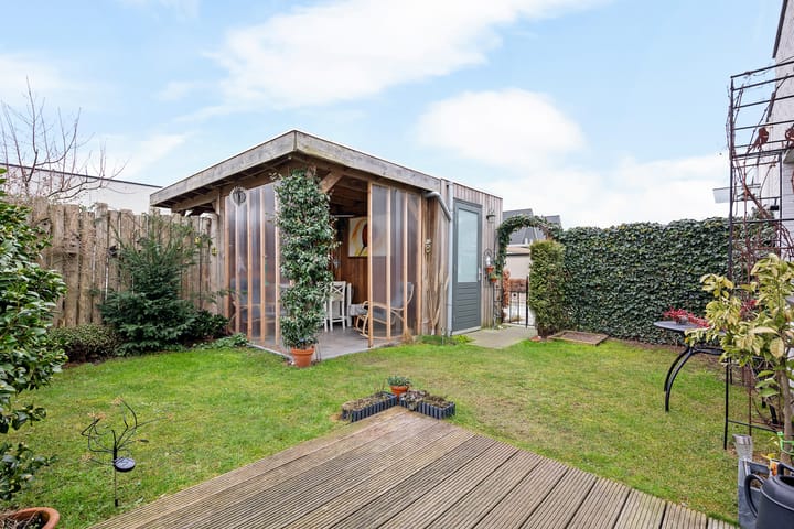 Photo 5 of Teunisbloem 4